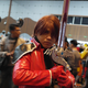 Illustration for article titled Animangaki 2015 - Day 1 (Cosplay)